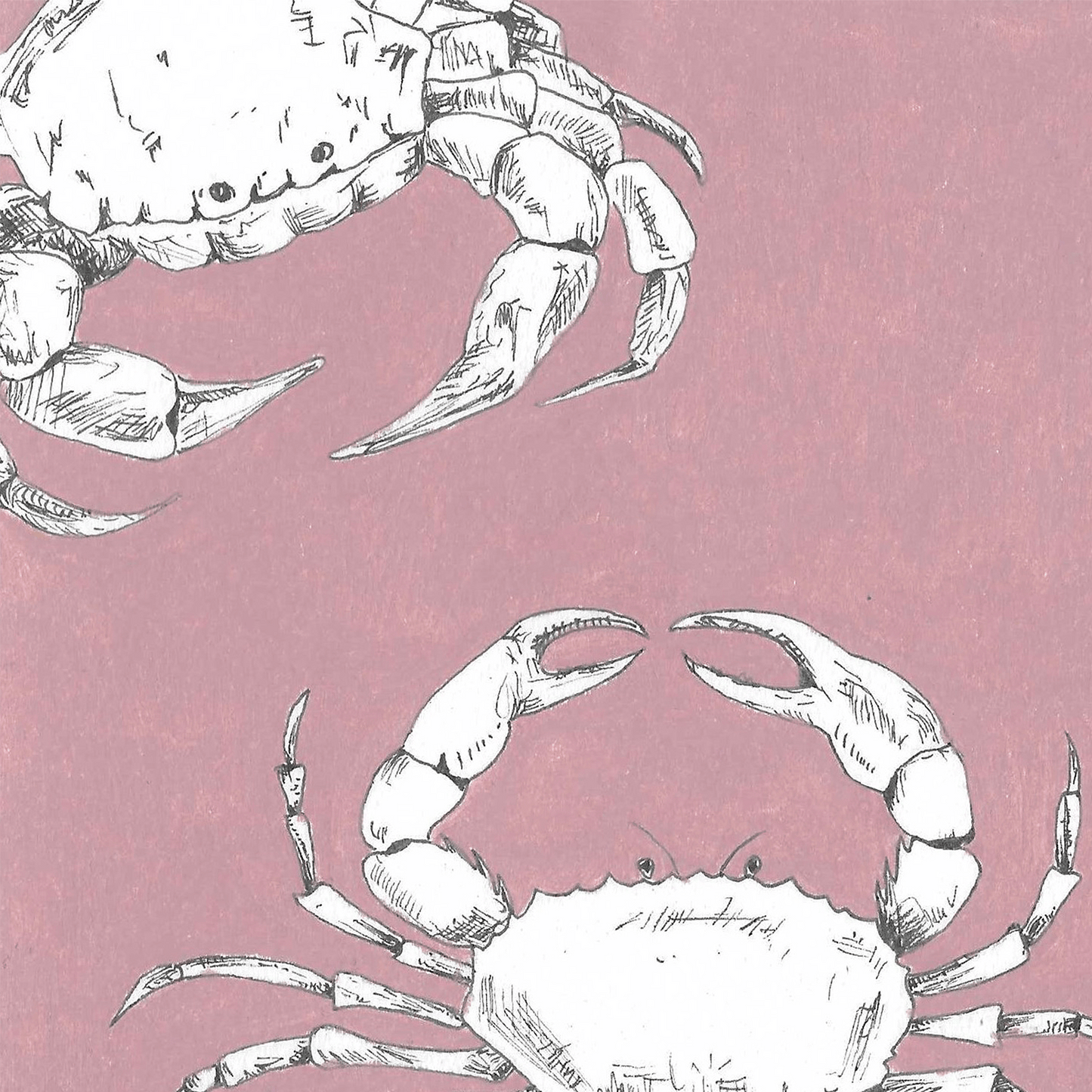 PINK CRABS