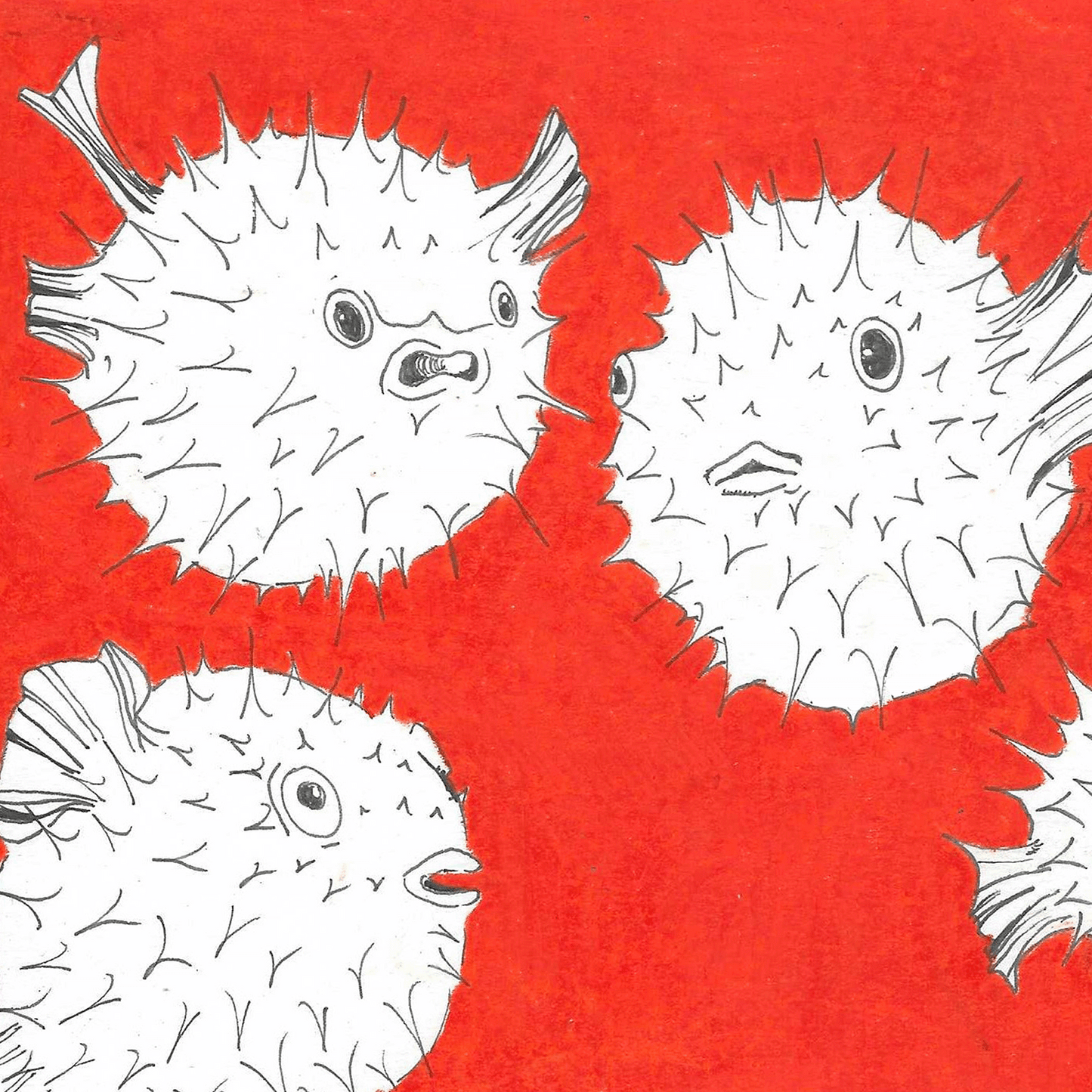 POISSON-GLOBE ROUGE